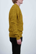 START plank, mustard