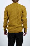 START plank, mustard